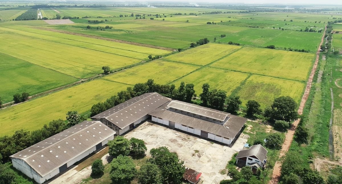 Certified producer facilities